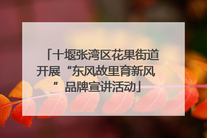 十堰张湾区花果街道开展“东风故里育新风”品牌宣讲活动