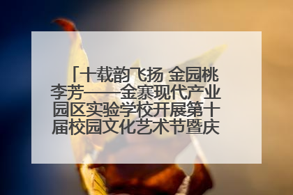 十载韵飞扬 金园桃李芳——金寨现代产业园区实验学校开展第十届校园文化艺术节暨庆“六一”系列活动