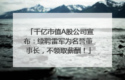 千亿市值A股公司宣布：续聘雷军为名誉董事长，不领取薪酬！