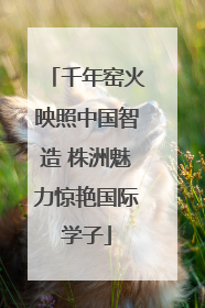 千年窑火映照中国智造 株洲魅力惊艳国际学子