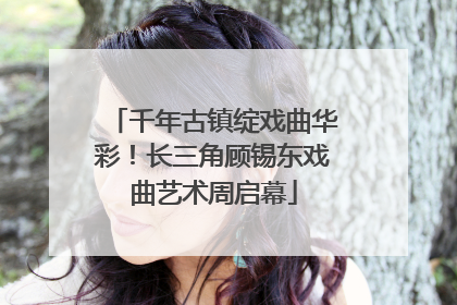 千年古镇绽戏曲华彩！长三角顾锡东戏曲艺术周启幕