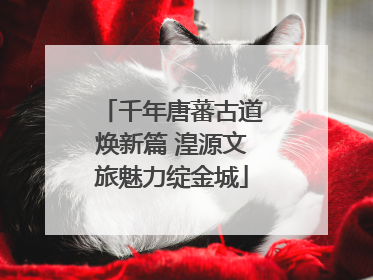 千年唐蕃古道焕新篇 湟源文旅魅力绽金城