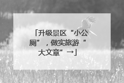 升级景区“小公厕”，做实旅游“大文章”→