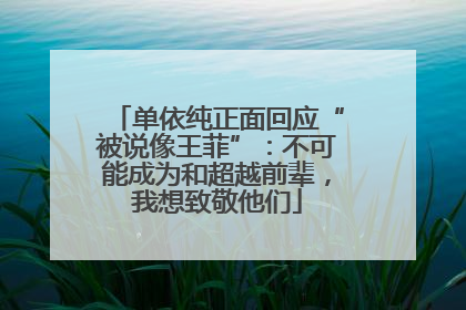 单依纯正面回应“被说像王菲”：不可能成为和超越前辈，我想致敬他们