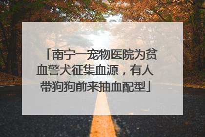 南宁一宠物医院为贫血警犬征集血源，有人带狗狗前来抽血配型