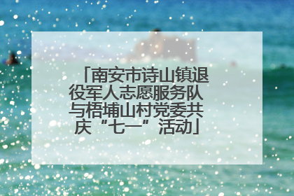 南安市诗山镇退役军人志愿服务队与梧埔山村党委共庆“七一”活动