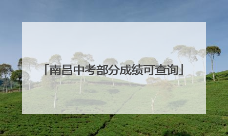 南昌中考部分成绩可查询