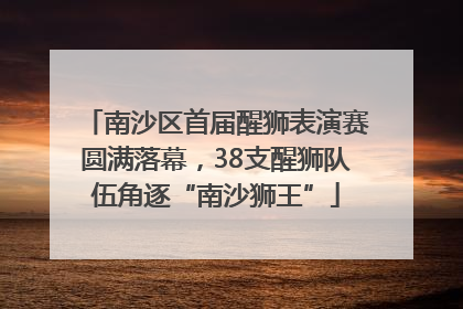 南沙区首届醒狮表演赛圆满落幕，38支醒狮队伍角逐“南沙狮王”