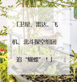 卫星、雷达、飞机、北斗探空组团追“蝴蝶”！