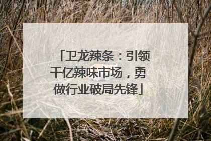 卫龙辣条：引领千亿辣味市场，勇做行业破局先锋