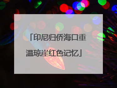印尼归侨海口重温琼崖红色记忆