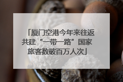 厦门空港今年来往返共建“一带一路”国家旅客数破百万人次