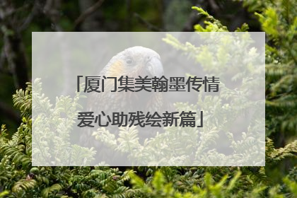 厦门集美翰墨传情 爱心助残绘新篇