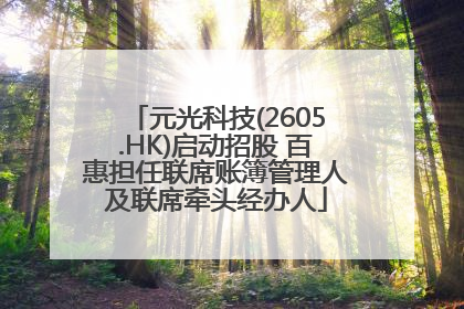元光科技(2605.HK)启动招股 百惠担任联席账簿管理人及联席牵头经办人