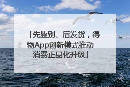先鉴别、后发货，得物App创新模式推动消费正品化升级