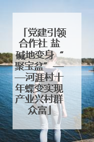 党建引领合作社 盐碱地变身“聚宝盆”——河涯村十年蝶变实现产业兴村群众富