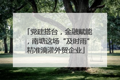 党建搭台，金融赋能，南塘这场“及时雨”精准滴灌外贸企业