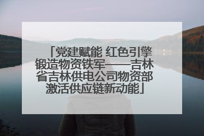 党建赋能 红色引擎锻造物资铁军——吉林省吉林供电公司物资部激活供应链新动能