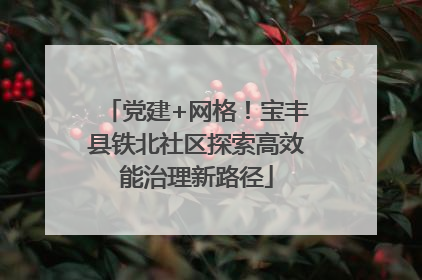 党建+网格！宝丰县铁北社区探索高效能治理新路径