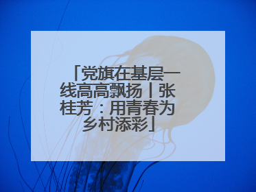 党旗在基层一线高高飘扬丨张桂芳：用青春为乡村添彩