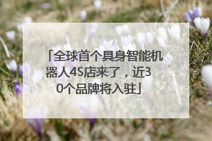 全球首个具身智能机器人4S店来了，近30个品牌将入驻