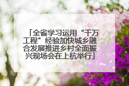 全省学习运用“千万工程”经验加快城乡融合发展推进乡村全面振兴现场会在上杭举行