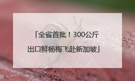 全省首批！300公斤出口鲜杨梅飞赴新加坡