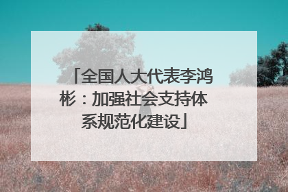 全国人大代表李鸿彬：加强社会支持体系规范化建设