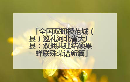 全国双拥模范城（县）巡礼河北省大厂县：双拥共建结硕果 蝉联殊荣谱新篇