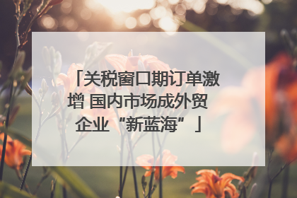 关税窗口期订单激增 国内市场成外贸企业“新蓝海”