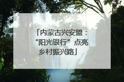 内蒙古兴安盟：“阳光银行”点亮乡村振兴路