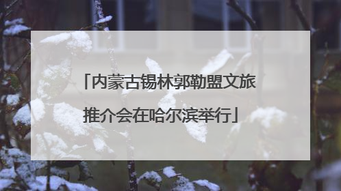 内蒙古锡林郭勒盟文旅推介会在哈尔滨举行