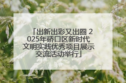 出新出彩又出圈 2025年硚口区新时代文明实践优秀项目展示交流活动举行