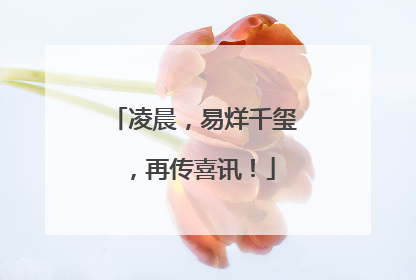 凌晨，易烊千玺，再传喜讯！