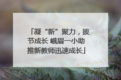 凝“新”聚力，拔节成长 峨眉一小助推新教师迅速成长