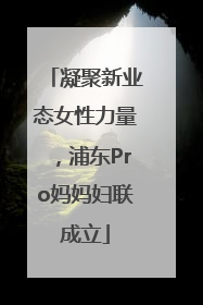 凝聚新业态女性力量，浦东Pro妈妈妇联成立