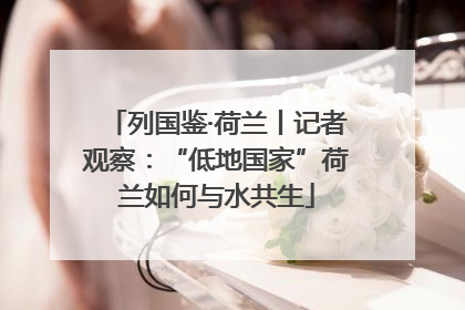 列国鉴·荷兰丨记者观察：“低地国家”荷兰如何与水共生