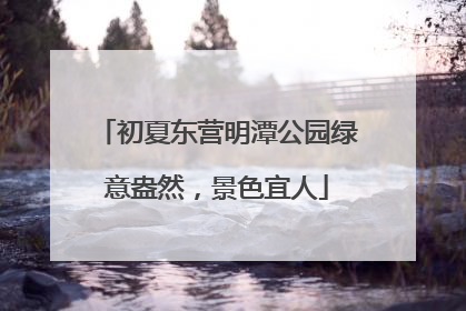 初夏东营明潭公园绿意盎然，景色宜人
