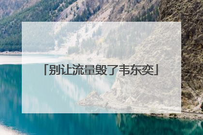 别让流量毁了韦东奕