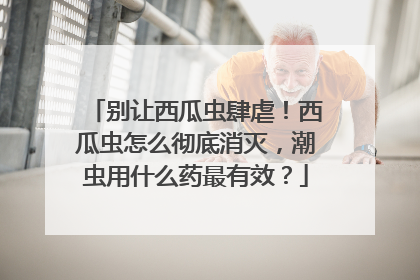 别让西瓜虫肆虐！西瓜虫怎么彻底消灭，潮虫用什么药最有效？