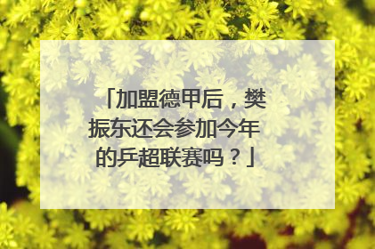 加盟德甲后，樊振东还会参加今年的乒超联赛吗？