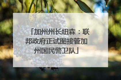 加州州长纽森：联邦政府正试图接管加州国民警卫队