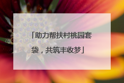 助力帮扶村桃园套袋，共筑丰收梦
