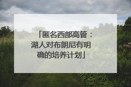 匿名西部高管：湖人对布朗尼有明确的培养计划