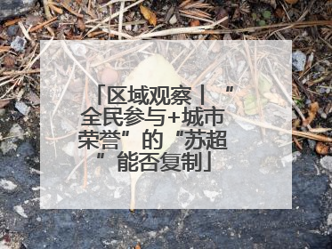 区域观察丨“全民参与+城市荣誉”的“苏超”能否复制