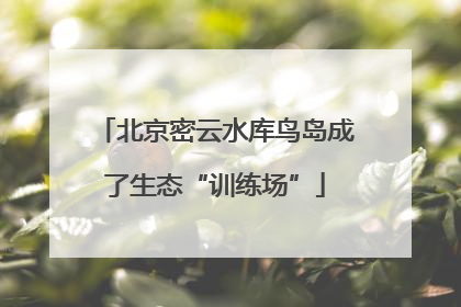 北京密云水库鸟岛成了生态“训练场”