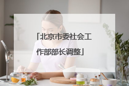 北京市委社会工作部部长调整