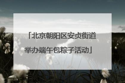 北京朝阳区安贞街道举办端午包粽子活动