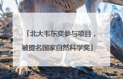 北大韦东奕参与项目，被提名国家自然科学奖