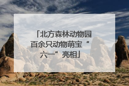北方森林动物园百余只动物萌宝“六一”亮相